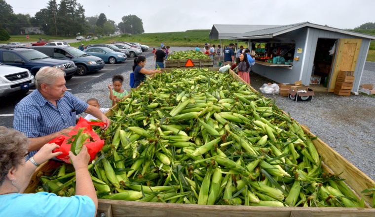 corn_wagon1.jpg